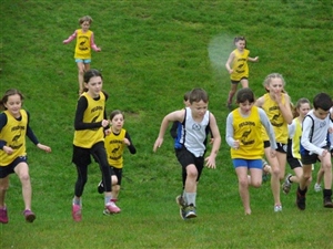 Vautier Cups XC 2017