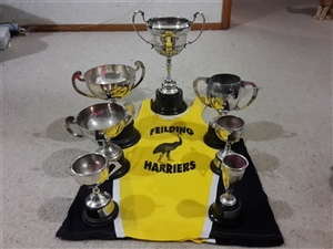 2017 Feilding Moa Club Road Champs