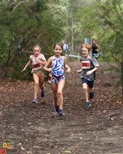 Go-Series 2019 Race 3