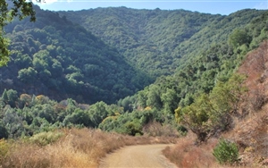 Sierra Azul Trail Challenge