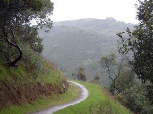 Rancho Trail Run