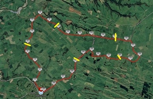 Halcombe Relay 2019