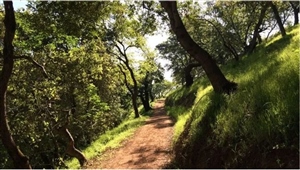 Rancho San Vicente Trail Challenge
