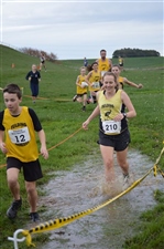 Banners farm XC