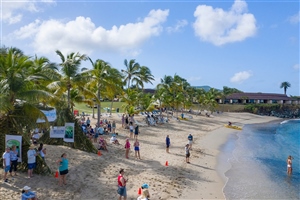 2021 Coral Reef Swim