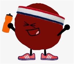 2023 Run for the Meatball