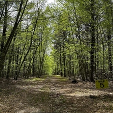 Watuppa Trail Races