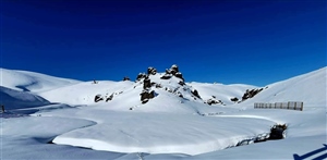 The Snow Farm Snogaine