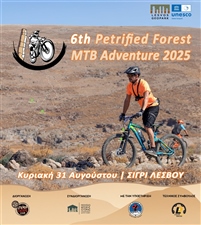 PETRIFIED FOREST Adventure MTB 2025