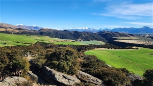 Luggate November 22 Rogaine.