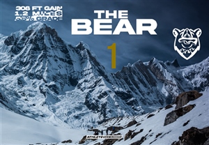 THE BEAR 2025 