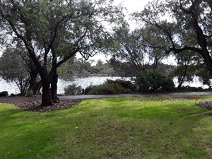 Race 13 Eaton Foreshore Run 2025