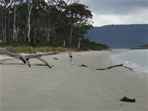 Bruny Island run-Labillardiere 2026