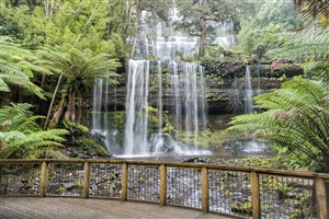 Mt Field - Russell Falls 2026