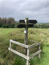 Isaacs Tea Trail