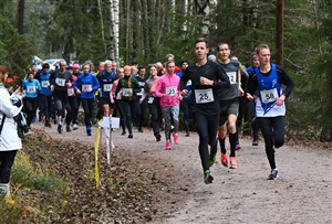 45. Riston Hölkkä 2.11.2025