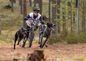 Tanhuvaara Sprint 2025 - Sunday