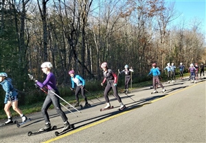 Comparative Rollerski Test