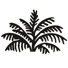 Ignite Your Senses 5K