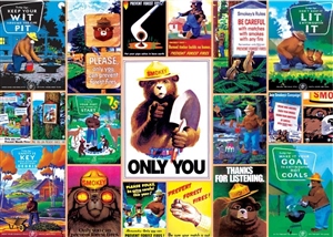 PC- MasterPieces - Smokey Bear National Parks -500