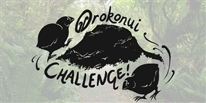 Orokonui Challenge 2025