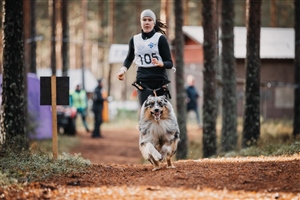 Virttaan syysveto & WC lopputulokset 1.-2.11.2025