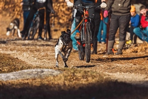 2025 Ethan Howard Memorial Rig Race