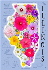 Teams of 4 - Mimsybird - Illinois Flowers 500