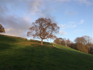 Harriers vs Cyclists 2025