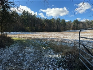 Biathlon Summer/Fall Club Race Series #3