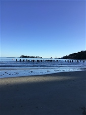 Race 1 - Rylock- Opening Splash 2km 2025