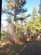 Ecuador 2025 Global Adventures