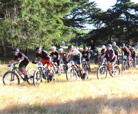 Marlborough MTB Club Template 25-26 20th Nov
