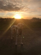 Run To The Rising Sun Race