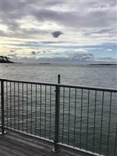 7. Results Sea Swim Series 01-01-2026