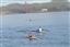 2nd Angel Island Regatta