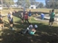 2017 Turtle Way Run