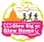 2017 Glow Big Or Glow Home 5k