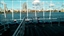 Autumn Series Day 3 Race 2
