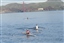 4th McCovey Cove Team Registration regis