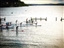 Ballard Elks Monday Paddle Series 2018