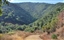 Sierra Azul Trail Challenge