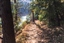 Trail Run at Sly Park