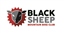 BlackSheep XC#1 - 2019