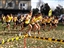 Feilding Moa 67th Woodruffe Cup XC
