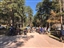 Bearlodge Mtn Classic 2020