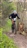 Albion Race Series - Week 2, May 17, 2023
