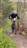 Albion Race Series - Week 6, June 14, 2023
