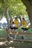 Feilding Moa XC - Ellis Farm