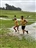 Kiwitea startlist 2024